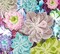 DIAMOND ART BY LEISURE ARTS Succulents, 14"x16", Advanced Diamond Painting Kits for Adults, Diamond Art for Adults, Diamond Art Kit, Diamond Art Painting